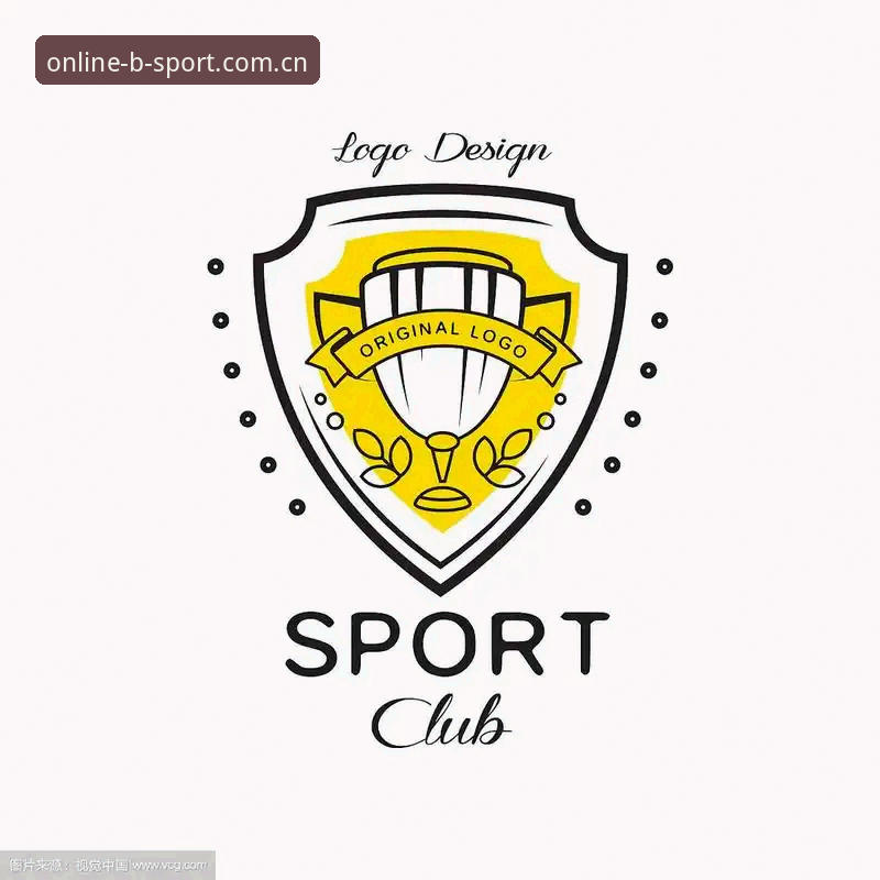 bsport体育平台安全使用指南：从入门到精通的完整方案